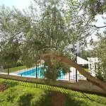 Divine Dalmatia