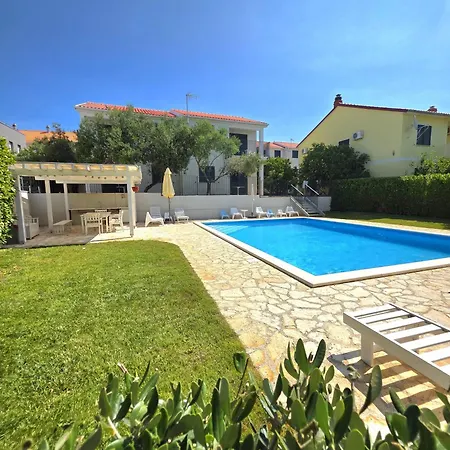 Divine Dalmatia