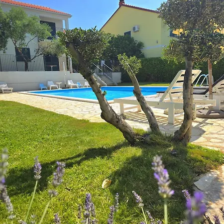Divine Dalmatia *