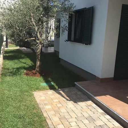 Divine Dalmatia Tribalj