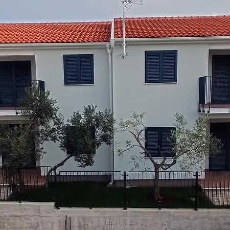 Divine Dalmatia