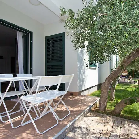 Divine Dalmatia Tribalj