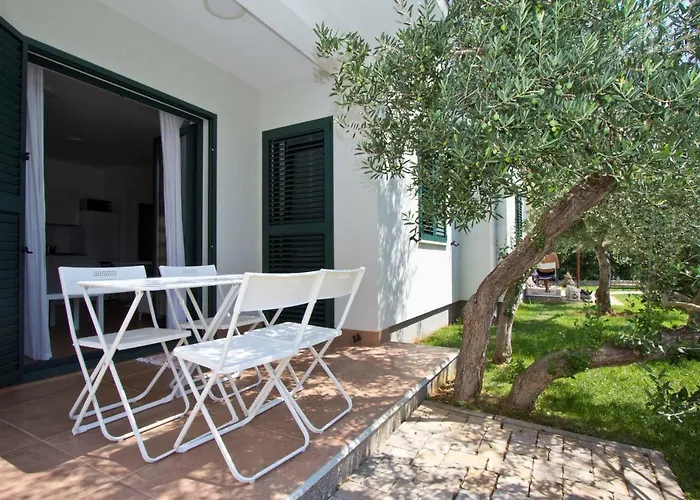 Divine Dalmatia Tribalj